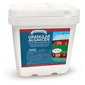 Biosafe BIOSAFE 3015-50 GreenClean Algacide 50 No. Pail 3015-50